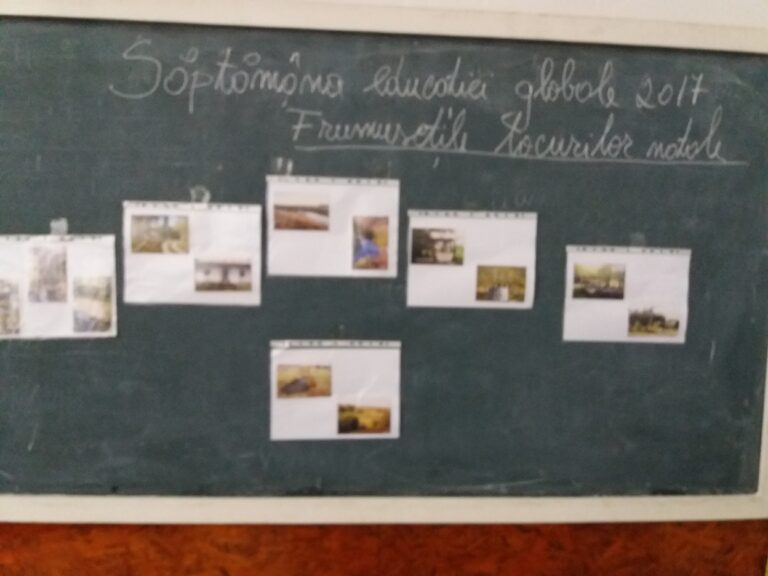 Proiect educativ